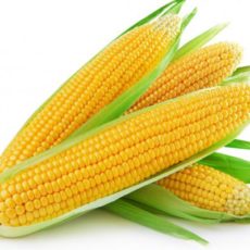sweet-corn